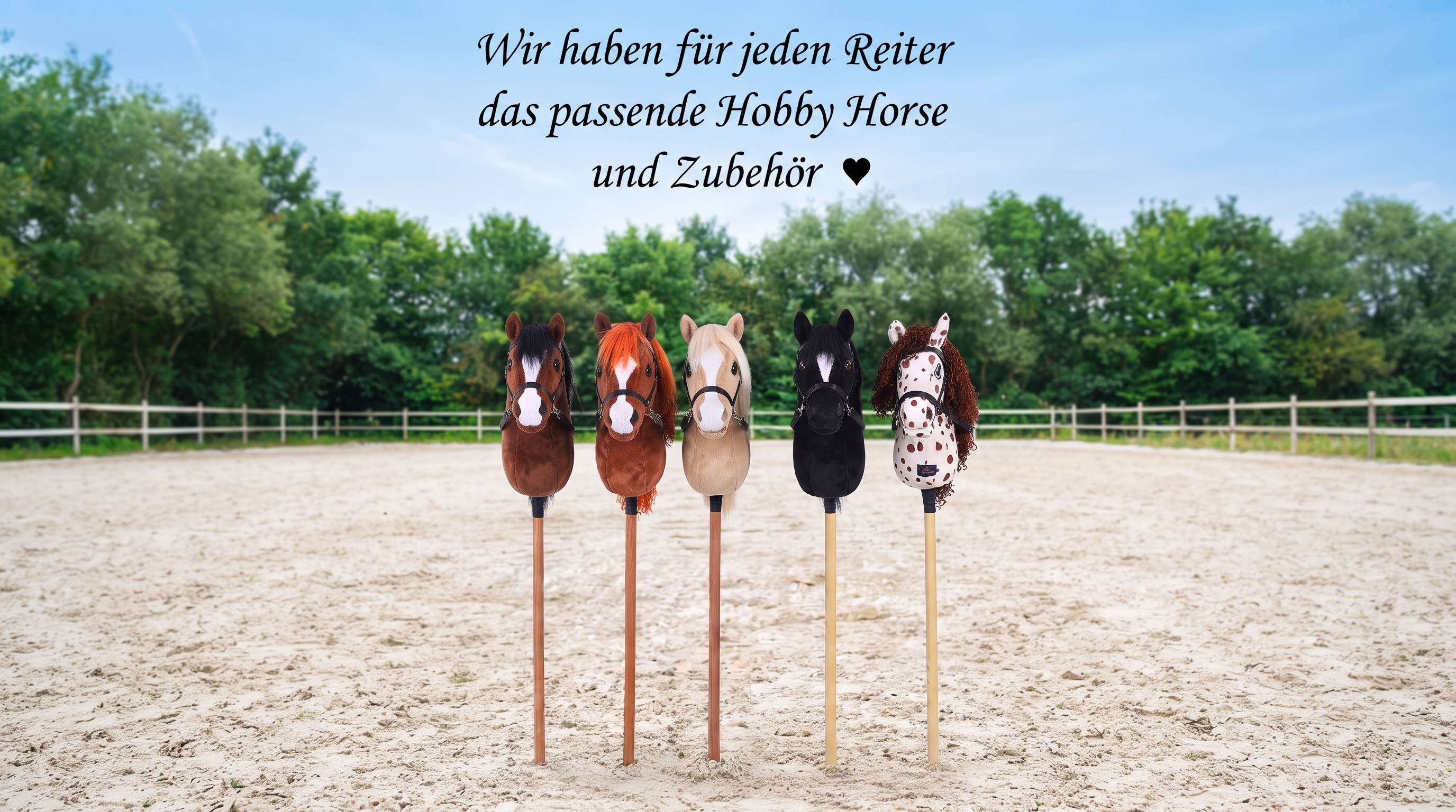 Hobby Horsing
