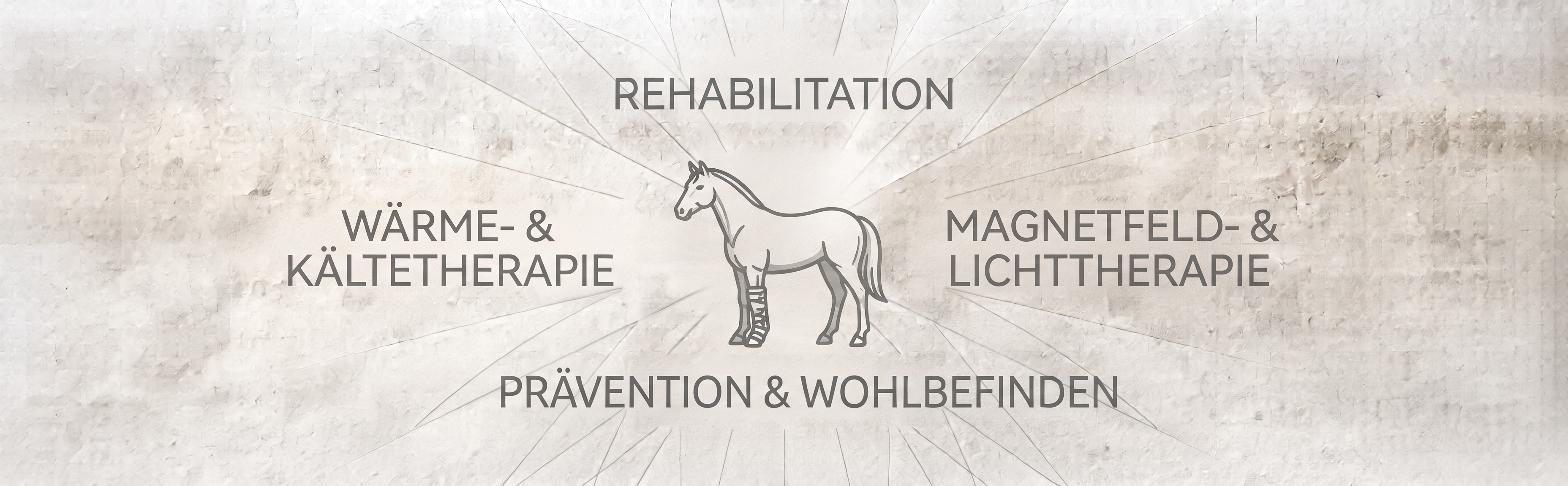 Therapie & Regeneration