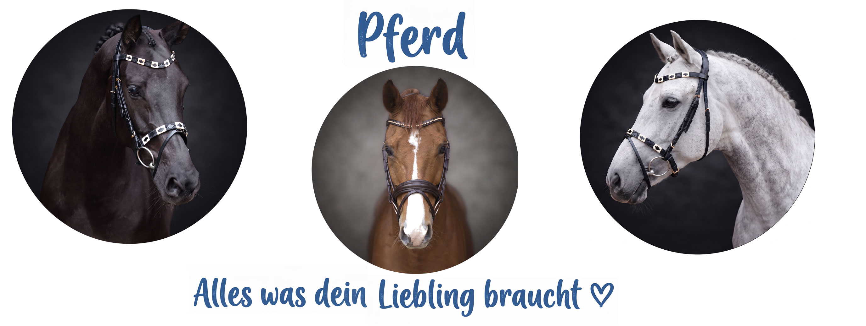 Pferd