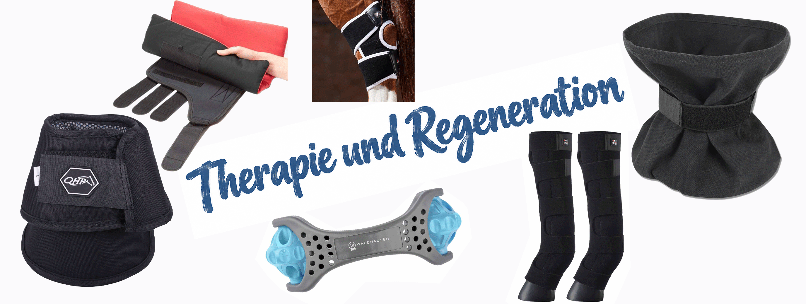 Therapie & Regeneration Therapie & Regeneration