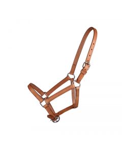 QHP Fohlenhalfter aus Leder CHICO
