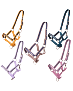 Halfter für Fohlen und Holzpferde Collection |LANCADE Reitsport