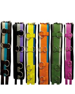 Longiergurt Nylon Deluxe -verschiedene Farben