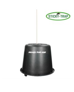 Sticky Trap Eime