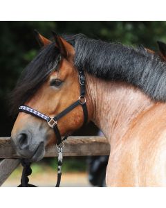 KAVALKADE Halfter Kaltblut Classic |LANCADE Reitsport