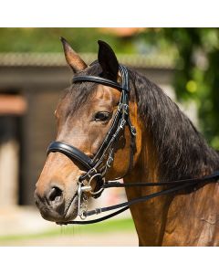 RIDING WORLD "New Design" Kandarenzaum schwarz