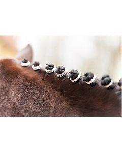 Mähnengummis -Crystal- 5er Set