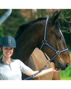 Nylonhalfter mit Leder unterlegt und Anbindestrick