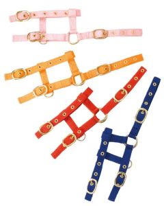 Verstellbares „Mini“ Nylonhalfter