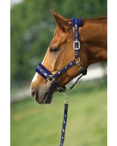 Set Nylon Halfter, Kunstfell unterlegt marineblau