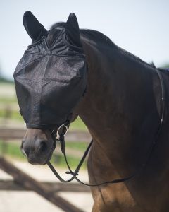 QHP Fliegenschutzmaske mit Ohren zum Reiten 