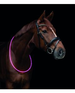 Waldhausen LED-Halsriemen für Pferde|LANCADE Reitsport-pink