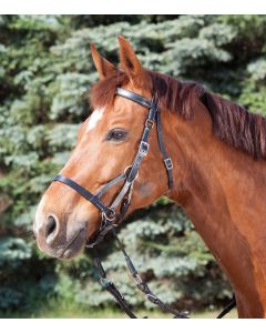 STAR Trensenzaum Trense Gebisslos Two|LANCADE Reitsport-schwarz