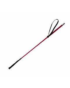 Whip & Go Fiberglas Reitstock rot