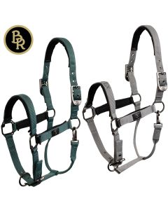 BR CLX Halfter weich unterlegt|LANCADE Reitsport