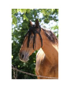 L-Sport Netzhaube mit Fliegenfransen|LANCADE Reitsport