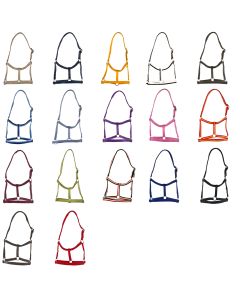 Fohlenhalfter Nylon