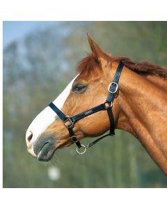 NORTON Kunstoffhalfter