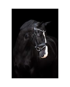 Imperial Riding Trensenzaum mit schwedischem Reithalfter IRHFria|LANCADE Reitsport-schwarz