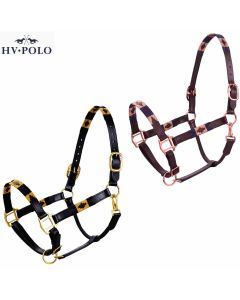 HV Polo Lederhalfter Polo HVPChaya|LANCADE Reitsport