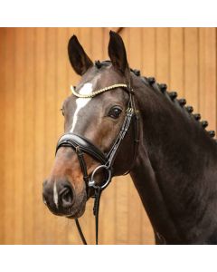 Passier Trense Favorite powered by Ingrid Klimke |LANCADE Reitsport