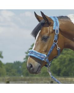Halfter Silverhorse calcite blue