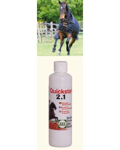Stassek Waschmittel 250 ml  für Decken Quickstar 2.1 