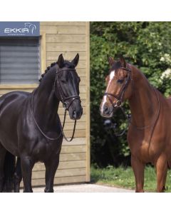 RIDING WORLD Trensenzaum englisch kombiniert|LANCADE Reitsport