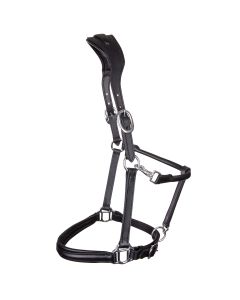 Lederhalfter mit anatomischen Genickstück Bonny 