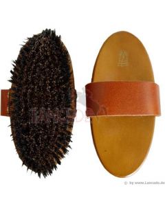 Kardätsche mit harten Borsten