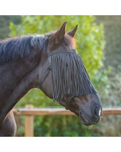 QHP Weidehalfter mit Fliegenfransen|LANCADE Reitsport