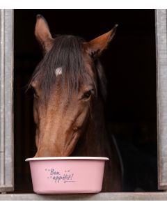 Waldhausen Müsli Schale mit Deckel 5l