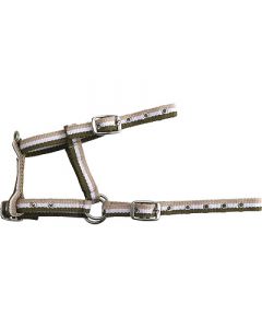 Verstellbares Fohlenhalfter khaki/weiß/beige