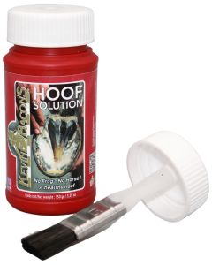 Kevin Bacon`s Hoof Solution 150 gr mit Pinsel|LANCADE Reitsport