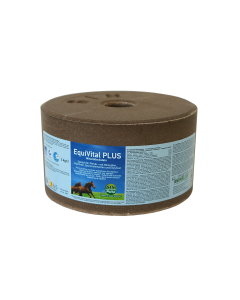 EQUIBLOCK Mineralleckstein 3kg|LANCADE Reitsport