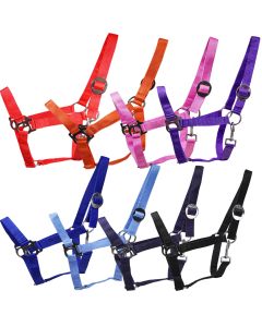 L- Sport Halfter Nylon mit Schiebeschnalle 2.Wahl /B-Ware