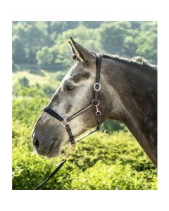 Lederhalfter mit anatomischem Genickstück Lovely|LANCADE Reitsport-schwarz/rosegold