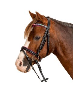 Waldhausen Star Trensenzaum Pinky für Shettys,Mini Shettys und Ponys |LANCADE Reitsport