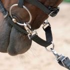 Longierbrille AWA 25 cm