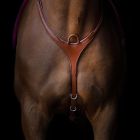 Utzon Equestrian Vorderzeug GRAND PRIX|LANCADE Reitsport