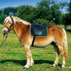 Excelsior Reitsattel Kaltblutsattel aus Leder 18"