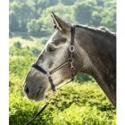 Lederhalfter mit anatomischem Genickstück Lovely|LANCADE Reitsport-schwarz/rosegold