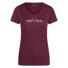 HV Polo T-Shirt Favouritas Limited tech
