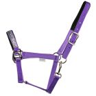 Pummeleinhorn 3.0 Halfter PUMMEL-flieder