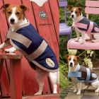 EQUI-THEME "Nylon" Hundedecke 