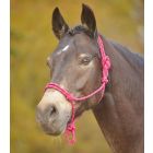 Waldhausen Knotenhalfter-berry-plum