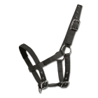 Waldhausen Mini-Shetty Halfter