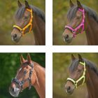 Kappzaum Economic, Nylon -verschiedene Farben-