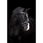 Imperial Riding Trensenzaum mit schwedischem Reithalfter IRHFria|LANCADE Reitsport-schwarz