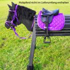 Holzpferd Sattel Trense mit Gebiss